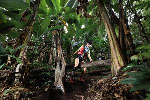 BIB: 
                            <button type="button" onclick="openModal(22420890)" class="btn btn-primary btn-sm float-right btn-popup" data-toggle="modal" data-target=".modal-high-quality">
                        <i class="fas fa-shopping-cart"></i> Add to Cart
                    </button>
                                            <button type="button" onclick="isThisMe(22420890, true)" class="btn btn-success btn-sm float-right btn-popup btn-isme hidden" data-toggle="tooltip" data-placement="bottom" title="นี่คือรูปของคุณใช่ไหม คลิกที่นี่เพื่อเอาเข้าอัลบั้ม">
                        <i class="fas fa-plus"></i> Add to album
                    </button>
                    <button type="button" onclick="isThisMe(22420890, false)" class="btn btn-warning btn-sm float-right btn-popup btn-isnotme hidden">
                        <i class="fas fa-ban"></i> Remove from album
                    </button>