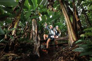 BIB: 
                            <button type="button" onclick="openModal(22419066)" class="btn btn-primary btn-sm float-right btn-popup" data-toggle="modal" data-target=".modal-high-quality">
                        <i class="fas fa-shopping-cart"></i> Add to Cart
                    </button>
                                            <button type="button" onclick="isThisMe(22419066, true)" class="btn btn-success btn-sm float-right btn-popup btn-isme hidden" data-toggle="tooltip" data-placement="bottom" title="นี่คือรูปของคุณใช่ไหม คลิกที่นี่เพื่อเอาเข้าอัลบั้ม">
                        <i class="fas fa-plus"></i> Add to album
                    </button>
                    <button type="button" onclick="isThisMe(22419066, false)" class="btn btn-warning btn-sm float-right btn-popup btn-isnotme hidden">
                        <i class="fas fa-ban"></i> Remove from album
                    </button>