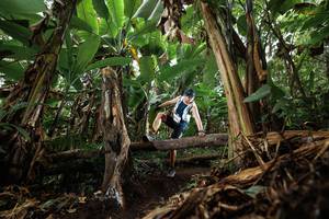 BIB: 
                            <button type="button" onclick="openModal(22392771)" class="btn btn-primary btn-sm float-right btn-popup" data-toggle="modal" data-target=".modal-high-quality">
                        <i class="fas fa-shopping-cart"></i> Add to Cart
                    </button>
                                            <button type="button" onclick="isThisMe(22392771, true)" class="btn btn-success btn-sm float-right btn-popup btn-isme hidden" data-toggle="tooltip" data-placement="bottom" title="นี่คือรูปของคุณใช่ไหม คลิกที่นี่เพื่อเอาเข้าอัลบั้ม">
                        <i class="fas fa-plus"></i> Add to album
                    </button>
                    <button type="button" onclick="isThisMe(22392771, false)" class="btn btn-warning btn-sm float-right btn-popup btn-isnotme hidden">
                        <i class="fas fa-ban"></i> Remove from album
                    </button>