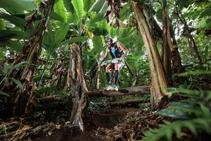 BIB: 
                            <button type="button" onclick="openModal(22393285)" class="btn btn-primary btn-sm float-right btn-popup" data-toggle="modal" data-target=".modal-high-quality">
                        <i class="fas fa-shopping-cart"></i> Add to Cart
                    </button>
                                            <button type="button" onclick="isThisMe(22393285, true)" class="btn btn-success btn-sm float-right btn-popup btn-isme hidden" data-toggle="tooltip" data-placement="bottom" title="นี่คือรูปของคุณใช่ไหม คลิกที่นี่เพื่อเอาเข้าอัลบั้ม">
                        <i class="fas fa-plus"></i> Add to album
                    </button>
                    <button type="button" onclick="isThisMe(22393285, false)" class="btn btn-warning btn-sm float-right btn-popup btn-isnotme hidden">
                        <i class="fas fa-ban"></i> Remove from album
                    </button>