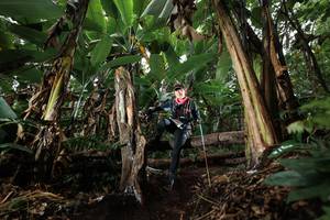 BIB: 
                            <button type="button" onclick="openModal(22421692)" class="btn btn-primary btn-sm float-right btn-popup" data-toggle="modal" data-target=".modal-high-quality">
                        <i class="fas fa-shopping-cart"></i> Add to Cart
                    </button>
                                            <button type="button" onclick="isThisMe(22421692, true)" class="btn btn-success btn-sm float-right btn-popup btn-isme hidden" data-toggle="tooltip" data-placement="bottom" title="นี่คือรูปของคุณใช่ไหม คลิกที่นี่เพื่อเอาเข้าอัลบั้ม">
                        <i class="fas fa-plus"></i> Add to album
                    </button>
                    <button type="button" onclick="isThisMe(22421692, false)" class="btn btn-warning btn-sm float-right btn-popup btn-isnotme hidden">
                        <i class="fas fa-ban"></i> Remove from album
                    </button>