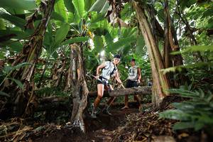 BIB: 
                            <button type="button" onclick="openModal(22397794)" class="btn btn-primary btn-sm float-right btn-popup" data-toggle="modal" data-target=".modal-high-quality">
                        <i class="fas fa-shopping-cart"></i> Add to Cart
                    </button>
                                            <button type="button" onclick="isThisMe(22397794, true)" class="btn btn-success btn-sm float-right btn-popup btn-isme hidden" data-toggle="tooltip" data-placement="bottom" title="นี่คือรูปของคุณใช่ไหม คลิกที่นี่เพื่อเอาเข้าอัลบั้ม">
                        <i class="fas fa-plus"></i> Add to album
                    </button>
                    <button type="button" onclick="isThisMe(22397794, false)" class="btn btn-warning btn-sm float-right btn-popup btn-isnotme hidden">
                        <i class="fas fa-ban"></i> Remove from album
                    </button>