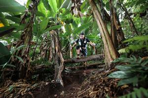 BIB: 
                            <button type="button" onclick="openModal(22415644)" class="btn btn-primary btn-sm float-right btn-popup" data-toggle="modal" data-target=".modal-high-quality">
                        <i class="fas fa-shopping-cart"></i> Add to Cart
                    </button>
                                            <button type="button" onclick="isThisMe(22415644, true)" class="btn btn-success btn-sm float-right btn-popup btn-isme hidden" data-toggle="tooltip" data-placement="bottom" title="นี่คือรูปของคุณใช่ไหม คลิกที่นี่เพื่อเอาเข้าอัลบั้ม">
                        <i class="fas fa-plus"></i> Add to album
                    </button>
                    <button type="button" onclick="isThisMe(22415644, false)" class="btn btn-warning btn-sm float-right btn-popup btn-isnotme hidden">
                        <i class="fas fa-ban"></i> Remove from album
                    </button>