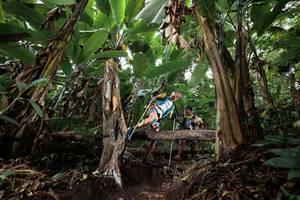 BIB: 
                            <button type="button" onclick="openModal(22417325)" class="btn btn-primary btn-sm float-right btn-popup" data-toggle="modal" data-target=".modal-high-quality">
                        <i class="fas fa-shopping-cart"></i> Add to Cart
                    </button>
                                            <button type="button" onclick="isThisMe(22417325, true)" class="btn btn-success btn-sm float-right btn-popup btn-isme hidden" data-toggle="tooltip" data-placement="bottom" title="นี่คือรูปของคุณใช่ไหม คลิกที่นี่เพื่อเอาเข้าอัลบั้ม">
                        <i class="fas fa-plus"></i> Add to album
                    </button>
                    <button type="button" onclick="isThisMe(22417325, false)" class="btn btn-warning btn-sm float-right btn-popup btn-isnotme hidden">
                        <i class="fas fa-ban"></i> Remove from album
                    </button>