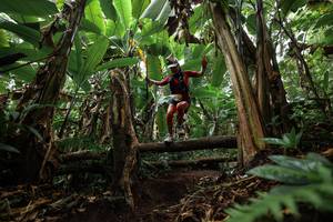 BIB: 
                            <button type="button" onclick="openModal(22393249)" class="btn btn-primary btn-sm float-right btn-popup" data-toggle="modal" data-target=".modal-high-quality">
                        <i class="fas fa-shopping-cart"></i> Add to Cart
                    </button>
                                            <button type="button" onclick="isThisMe(22393249, true)" class="btn btn-success btn-sm float-right btn-popup btn-isme hidden" data-toggle="tooltip" data-placement="bottom" title="นี่คือรูปของคุณใช่ไหม คลิกที่นี่เพื่อเอาเข้าอัลบั้ม">
                        <i class="fas fa-plus"></i> Add to album
                    </button>
                    <button type="button" onclick="isThisMe(22393249, false)" class="btn btn-warning btn-sm float-right btn-popup btn-isnotme hidden">
                        <i class="fas fa-ban"></i> Remove from album
                    </button>