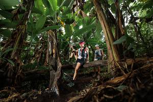 BIB: 
                            <button type="button" onclick="openModal(22392628)" class="btn btn-primary btn-sm float-right btn-popup" data-toggle="modal" data-target=".modal-high-quality">
                        <i class="fas fa-shopping-cart"></i> Add to Cart
                    </button>
                                            <button type="button" onclick="isThisMe(22392628, true)" class="btn btn-success btn-sm float-right btn-popup btn-isme hidden" data-toggle="tooltip" data-placement="bottom" title="นี่คือรูปของคุณใช่ไหม คลิกที่นี่เพื่อเอาเข้าอัลบั้ม">
                        <i class="fas fa-plus"></i> Add to album
                    </button>
                    <button type="button" onclick="isThisMe(22392628, false)" class="btn btn-warning btn-sm float-right btn-popup btn-isnotme hidden">
                        <i class="fas fa-ban"></i> Remove from album
                    </button>