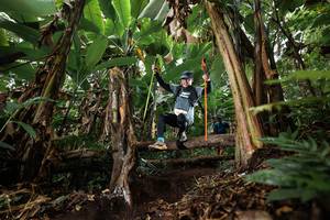 BIB: 
                            <button type="button" onclick="openModal(22394188)" class="btn btn-primary btn-sm float-right btn-popup" data-toggle="modal" data-target=".modal-high-quality">
                        <i class="fas fa-shopping-cart"></i> Add to Cart
                    </button>
                                            <button type="button" onclick="isThisMe(22394188, true)" class="btn btn-success btn-sm float-right btn-popup btn-isme hidden" data-toggle="tooltip" data-placement="bottom" title="นี่คือรูปของคุณใช่ไหม คลิกที่นี่เพื่อเอาเข้าอัลบั้ม">
                        <i class="fas fa-plus"></i> Add to album
                    </button>
                    <button type="button" onclick="isThisMe(22394188, false)" class="btn btn-warning btn-sm float-right btn-popup btn-isnotme hidden">
                        <i class="fas fa-ban"></i> Remove from album
                    </button>