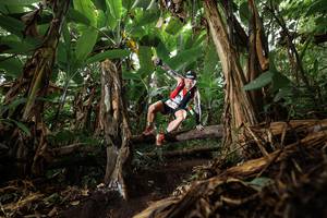 BIB: 
                            <button type="button" onclick="openModal(22392330)" class="btn btn-primary btn-sm float-right btn-popup" data-toggle="modal" data-target=".modal-high-quality">
                        <i class="fas fa-shopping-cart"></i> Add to Cart
                    </button>
                                            <button type="button" onclick="isThisMe(22392330, true)" class="btn btn-success btn-sm float-right btn-popup btn-isme hidden" data-toggle="tooltip" data-placement="bottom" title="นี่คือรูปของคุณใช่ไหม คลิกที่นี่เพื่อเอาเข้าอัลบั้ม">
                        <i class="fas fa-plus"></i> Add to album
                    </button>
                    <button type="button" onclick="isThisMe(22392330, false)" class="btn btn-warning btn-sm float-right btn-popup btn-isnotme hidden">
                        <i class="fas fa-ban"></i> Remove from album
                    </button>