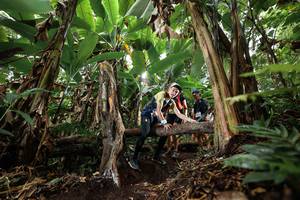 BIB: 
                            <button type="button" onclick="openModal(22395233)" class="btn btn-primary btn-sm float-right btn-popup" data-toggle="modal" data-target=".modal-high-quality">
                        <i class="fas fa-shopping-cart"></i> Add to Cart
                    </button>
                                            <button type="button" onclick="isThisMe(22395233, true)" class="btn btn-success btn-sm float-right btn-popup btn-isme hidden" data-toggle="tooltip" data-placement="bottom" title="นี่คือรูปของคุณใช่ไหม คลิกที่นี่เพื่อเอาเข้าอัลบั้ม">
                        <i class="fas fa-plus"></i> Add to album
                    </button>
                    <button type="button" onclick="isThisMe(22395233, false)" class="btn btn-warning btn-sm float-right btn-popup btn-isnotme hidden">
                        <i class="fas fa-ban"></i> Remove from album
                    </button>