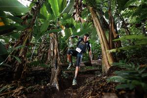 BIB: 1321
                            <button type="button" onclick="openModal(22398985)" class="btn btn-primary btn-sm float-right btn-popup" data-toggle="modal" data-target=".modal-high-quality">
                        <i class="fas fa-shopping-cart"></i> Add to Cart
                    </button>
                                            <button type="button" onclick="isThisMe(22398985, true)" class="btn btn-success btn-sm float-right btn-popup btn-isme hidden" data-toggle="tooltip" data-placement="bottom" title="นี่คือรูปของคุณใช่ไหม คลิกที่นี่เพื่อเอาเข้าอัลบั้ม">
                        <i class="fas fa-plus"></i> Add to album
                    </button>
                    <button type="button" onclick="isThisMe(22398985, false)" class="btn btn-warning btn-sm float-right btn-popup btn-isnotme hidden">
                        <i class="fas fa-ban"></i> Remove from album
                    </button>