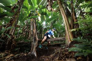 BIB: 
                            <button type="button" onclick="openModal(22398675)" class="btn btn-primary btn-sm float-right btn-popup" data-toggle="modal" data-target=".modal-high-quality">
                        <i class="fas fa-shopping-cart"></i> Add to Cart
                    </button>
                                            <button type="button" onclick="isThisMe(22398675, true)" class="btn btn-success btn-sm float-right btn-popup btn-isme hidden" data-toggle="tooltip" data-placement="bottom" title="นี่คือรูปของคุณใช่ไหม คลิกที่นี่เพื่อเอาเข้าอัลบั้ม">
                        <i class="fas fa-plus"></i> Add to album
                    </button>
                    <button type="button" onclick="isThisMe(22398675, false)" class="btn btn-warning btn-sm float-right btn-popup btn-isnotme hidden">
                        <i class="fas fa-ban"></i> Remove from album
                    </button>