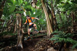 BIB: 
                            <button type="button" onclick="openModal(22414791)" class="btn btn-primary btn-sm float-right btn-popup" data-toggle="modal" data-target=".modal-high-quality">
                        <i class="fas fa-shopping-cart"></i> Add to Cart
                    </button>
                                            <button type="button" onclick="isThisMe(22414791, true)" class="btn btn-success btn-sm float-right btn-popup btn-isme hidden" data-toggle="tooltip" data-placement="bottom" title="นี่คือรูปของคุณใช่ไหม คลิกที่นี่เพื่อเอาเข้าอัลบั้ม">
                        <i class="fas fa-plus"></i> Add to album
                    </button>
                    <button type="button" onclick="isThisMe(22414791, false)" class="btn btn-warning btn-sm float-right btn-popup btn-isnotme hidden">
                        <i class="fas fa-ban"></i> Remove from album
                    </button>