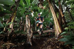 BIB: 
                            <button type="button" onclick="openModal(22419737)" class="btn btn-primary btn-sm float-right btn-popup" data-toggle="modal" data-target=".modal-high-quality">
                        <i class="fas fa-shopping-cart"></i> Add to Cart
                    </button>
                                            <button type="button" onclick="isThisMe(22419737, true)" class="btn btn-success btn-sm float-right btn-popup btn-isme hidden" data-toggle="tooltip" data-placement="bottom" title="นี่คือรูปของคุณใช่ไหม คลิกที่นี่เพื่อเอาเข้าอัลบั้ม">
                        <i class="fas fa-plus"></i> Add to album
                    </button>
                    <button type="button" onclick="isThisMe(22419737, false)" class="btn btn-warning btn-sm float-right btn-popup btn-isnotme hidden">
                        <i class="fas fa-ban"></i> Remove from album
                    </button>