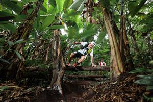 BIB: 
                            <button type="button" onclick="openModal(22416552)" class="btn btn-primary btn-sm float-right btn-popup" data-toggle="modal" data-target=".modal-high-quality">
                        <i class="fas fa-shopping-cart"></i> Add to Cart
                    </button>
                                            <button type="button" onclick="isThisMe(22416552, true)" class="btn btn-success btn-sm float-right btn-popup btn-isme hidden" data-toggle="tooltip" data-placement="bottom" title="นี่คือรูปของคุณใช่ไหม คลิกที่นี่เพื่อเอาเข้าอัลบั้ม">
                        <i class="fas fa-plus"></i> Add to album
                    </button>
                    <button type="button" onclick="isThisMe(22416552, false)" class="btn btn-warning btn-sm float-right btn-popup btn-isnotme hidden">
                        <i class="fas fa-ban"></i> Remove from album
                    </button>