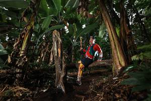 BIB: 
                            <button type="button" onclick="openModal(22422627)" class="btn btn-primary btn-sm float-right btn-popup" data-toggle="modal" data-target=".modal-high-quality">
                        <i class="fas fa-shopping-cart"></i> Add to Cart
                    </button>
                                            <button type="button" onclick="isThisMe(22422627, true)" class="btn btn-success btn-sm float-right btn-popup btn-isme hidden" data-toggle="tooltip" data-placement="bottom" title="นี่คือรูปของคุณใช่ไหม คลิกที่นี่เพื่อเอาเข้าอัลบั้ม">
                        <i class="fas fa-plus"></i> Add to album
                    </button>
                    <button type="button" onclick="isThisMe(22422627, false)" class="btn btn-warning btn-sm float-right btn-popup btn-isnotme hidden">
                        <i class="fas fa-ban"></i> Remove from album
                    </button>