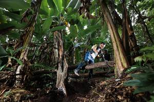 BIB: 
                            <button type="button" onclick="openModal(22420619)" class="btn btn-primary btn-sm float-right btn-popup" data-toggle="modal" data-target=".modal-high-quality">
                        <i class="fas fa-shopping-cart"></i> Add to Cart
                    </button>
                                            <button type="button" onclick="isThisMe(22420619, true)" class="btn btn-success btn-sm float-right btn-popup btn-isme hidden" data-toggle="tooltip" data-placement="bottom" title="นี่คือรูปของคุณใช่ไหม คลิกที่นี่เพื่อเอาเข้าอัลบั้ม">
                        <i class="fas fa-plus"></i> Add to album
                    </button>
                    <button type="button" onclick="isThisMe(22420619, false)" class="btn btn-warning btn-sm float-right btn-popup btn-isnotme hidden">
                        <i class="fas fa-ban"></i> Remove from album
                    </button>