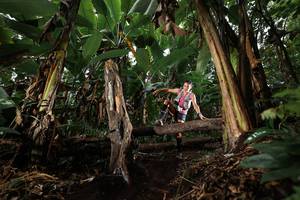 BIB: 
                            <button type="button" onclick="openModal(22422308)" class="btn btn-primary btn-sm float-right btn-popup" data-toggle="modal" data-target=".modal-high-quality">
                        <i class="fas fa-shopping-cart"></i> Add to Cart
                    </button>
                                            <button type="button" onclick="isThisMe(22422308, true)" class="btn btn-success btn-sm float-right btn-popup btn-isme hidden" data-toggle="tooltip" data-placement="bottom" title="นี่คือรูปของคุณใช่ไหม คลิกที่นี่เพื่อเอาเข้าอัลบั้ม">
                        <i class="fas fa-plus"></i> Add to album
                    </button>
                    <button type="button" onclick="isThisMe(22422308, false)" class="btn btn-warning btn-sm float-right btn-popup btn-isnotme hidden">
                        <i class="fas fa-ban"></i> Remove from album
                    </button>