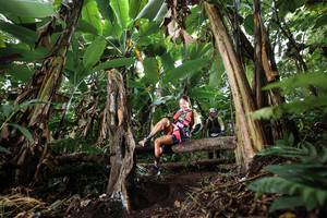 BIB: 
                            <button type="button" onclick="openModal(22413736)" class="btn btn-primary btn-sm float-right btn-popup" data-toggle="modal" data-target=".modal-high-quality">
                        <i class="fas fa-shopping-cart"></i> Add to Cart
                    </button>
                                            <button type="button" onclick="isThisMe(22413736, true)" class="btn btn-success btn-sm float-right btn-popup btn-isme hidden" data-toggle="tooltip" data-placement="bottom" title="นี่คือรูปของคุณใช่ไหม คลิกที่นี่เพื่อเอาเข้าอัลบั้ม">
                        <i class="fas fa-plus"></i> Add to album
                    </button>
                    <button type="button" onclick="isThisMe(22413736, false)" class="btn btn-warning btn-sm float-right btn-popup btn-isnotme hidden">
                        <i class="fas fa-ban"></i> Remove from album
                    </button>