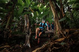 BIB: 
                            <button type="button" onclick="openModal(22387770)" class="btn btn-primary btn-sm float-right btn-popup" data-toggle="modal" data-target=".modal-high-quality">
                        <i class="fas fa-shopping-cart"></i> Add to Cart
                    </button>
                                            <button type="button" onclick="isThisMe(22387770, true)" class="btn btn-success btn-sm float-right btn-popup btn-isme hidden" data-toggle="tooltip" data-placement="bottom" title="นี่คือรูปของคุณใช่ไหม คลิกที่นี่เพื่อเอาเข้าอัลบั้ม">
                        <i class="fas fa-plus"></i> Add to album
                    </button>
                    <button type="button" onclick="isThisMe(22387770, false)" class="btn btn-warning btn-sm float-right btn-popup btn-isnotme hidden">
                        <i class="fas fa-ban"></i> Remove from album
                    </button>