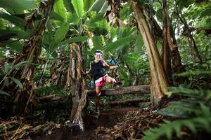 BIB: 
                            <button type="button" onclick="openModal(22393359)" class="btn btn-primary btn-sm float-right btn-popup" data-toggle="modal" data-target=".modal-high-quality">
                        <i class="fas fa-shopping-cart"></i> Add to Cart
                    </button>
                                            <button type="button" onclick="isThisMe(22393359, true)" class="btn btn-success btn-sm float-right btn-popup btn-isme hidden" data-toggle="tooltip" data-placement="bottom" title="นี่คือรูปของคุณใช่ไหม คลิกที่นี่เพื่อเอาเข้าอัลบั้ม">
                        <i class="fas fa-plus"></i> Add to album
                    </button>
                    <button type="button" onclick="isThisMe(22393359, false)" class="btn btn-warning btn-sm float-right btn-popup btn-isnotme hidden">
                        <i class="fas fa-ban"></i> Remove from album
                    </button>