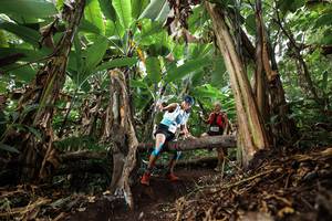 BIB: 
                            <button type="button" onclick="openModal(22392974)" class="btn btn-primary btn-sm float-right btn-popup" data-toggle="modal" data-target=".modal-high-quality">
                        <i class="fas fa-shopping-cart"></i> Add to Cart
                    </button>
                                            <button type="button" onclick="isThisMe(22392974, true)" class="btn btn-success btn-sm float-right btn-popup btn-isme hidden" data-toggle="tooltip" data-placement="bottom" title="นี่คือรูปของคุณใช่ไหม คลิกที่นี่เพื่อเอาเข้าอัลบั้ม">
                        <i class="fas fa-plus"></i> Add to album
                    </button>
                    <button type="button" onclick="isThisMe(22392974, false)" class="btn btn-warning btn-sm float-right btn-popup btn-isnotme hidden">
                        <i class="fas fa-ban"></i> Remove from album
                    </button>