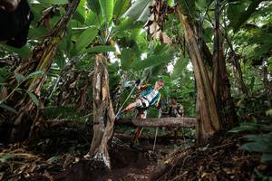 BIB: 
                            <button type="button" onclick="openModal(22417324)" class="btn btn-primary btn-sm float-right btn-popup" data-toggle="modal" data-target=".modal-high-quality">
                        <i class="fas fa-shopping-cart"></i> Add to Cart
                    </button>
                                            <button type="button" onclick="isThisMe(22417324, true)" class="btn btn-success btn-sm float-right btn-popup btn-isme hidden" data-toggle="tooltip" data-placement="bottom" title="นี่คือรูปของคุณใช่ไหม คลิกที่นี่เพื่อเอาเข้าอัลบั้ม">
                        <i class="fas fa-plus"></i> Add to album
                    </button>
                    <button type="button" onclick="isThisMe(22417324, false)" class="btn btn-warning btn-sm float-right btn-popup btn-isnotme hidden">
                        <i class="fas fa-ban"></i> Remove from album
                    </button>