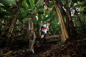 BIB: 
                            <button type="button" onclick="openModal(22393096)" class="btn btn-primary btn-sm float-right btn-popup" data-toggle="modal" data-target=".modal-high-quality">
                        <i class="fas fa-shopping-cart"></i> Add to Cart
                    </button>
                                            <button type="button" onclick="isThisMe(22393096, true)" class="btn btn-success btn-sm float-right btn-popup btn-isme hidden" data-toggle="tooltip" data-placement="bottom" title="นี่คือรูปของคุณใช่ไหม คลิกที่นี่เพื่อเอาเข้าอัลบั้ม">
                        <i class="fas fa-plus"></i> Add to album
                    </button>
                    <button type="button" onclick="isThisMe(22393096, false)" class="btn btn-warning btn-sm float-right btn-popup btn-isnotme hidden">
                        <i class="fas fa-ban"></i> Remove from album
                    </button>