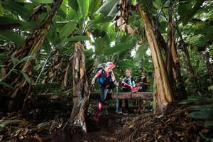 BIB: 
                            <button type="button" onclick="openModal(22417725)" class="btn btn-primary btn-sm float-right btn-popup" data-toggle="modal" data-target=".modal-high-quality">
                        <i class="fas fa-shopping-cart"></i> Add to Cart
                    </button>
                                            <button type="button" onclick="isThisMe(22417725, true)" class="btn btn-success btn-sm float-right btn-popup btn-isme hidden" data-toggle="tooltip" data-placement="bottom" title="นี่คือรูปของคุณใช่ไหม คลิกที่นี่เพื่อเอาเข้าอัลบั้ม">
                        <i class="fas fa-plus"></i> Add to album
                    </button>
                    <button type="button" onclick="isThisMe(22417725, false)" class="btn btn-warning btn-sm float-right btn-popup btn-isnotme hidden">
                        <i class="fas fa-ban"></i> Remove from album
                    </button>