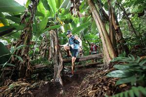 BIB: 
                            <button type="button" onclick="openModal(22415062)" class="btn btn-primary btn-sm float-right btn-popup" data-toggle="modal" data-target=".modal-high-quality">
                        <i class="fas fa-shopping-cart"></i> Add to Cart
                    </button>
                                            <button type="button" onclick="isThisMe(22415062, true)" class="btn btn-success btn-sm float-right btn-popup btn-isme hidden" data-toggle="tooltip" data-placement="bottom" title="นี่คือรูปของคุณใช่ไหม คลิกที่นี่เพื่อเอาเข้าอัลบั้ม">
                        <i class="fas fa-plus"></i> Add to album
                    </button>
                    <button type="button" onclick="isThisMe(22415062, false)" class="btn btn-warning btn-sm float-right btn-popup btn-isnotme hidden">
                        <i class="fas fa-ban"></i> Remove from album
                    </button>