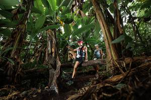 BIB: 
                            <button type="button" onclick="openModal(22392627)" class="btn btn-primary btn-sm float-right btn-popup" data-toggle="modal" data-target=".modal-high-quality">
                        <i class="fas fa-shopping-cart"></i> Add to Cart
                    </button>
                                            <button type="button" onclick="isThisMe(22392627, true)" class="btn btn-success btn-sm float-right btn-popup btn-isme hidden" data-toggle="tooltip" data-placement="bottom" title="นี่คือรูปของคุณใช่ไหม คลิกที่นี่เพื่อเอาเข้าอัลบั้ม">
                        <i class="fas fa-plus"></i> Add to album
                    </button>
                    <button type="button" onclick="isThisMe(22392627, false)" class="btn btn-warning btn-sm float-right btn-popup btn-isnotme hidden">
                        <i class="fas fa-ban"></i> Remove from album
                    </button>