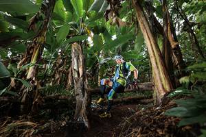 BIB: 
                            <button type="button" onclick="openModal(22418860)" class="btn btn-primary btn-sm float-right btn-popup" data-toggle="modal" data-target=".modal-high-quality">
                        <i class="fas fa-shopping-cart"></i> Add to Cart
                    </button>
                                            <button type="button" onclick="isThisMe(22418860, true)" class="btn btn-success btn-sm float-right btn-popup btn-isme hidden" data-toggle="tooltip" data-placement="bottom" title="นี่คือรูปของคุณใช่ไหม คลิกที่นี่เพื่อเอาเข้าอัลบั้ม">
                        <i class="fas fa-plus"></i> Add to album
                    </button>
                    <button type="button" onclick="isThisMe(22418860, false)" class="btn btn-warning btn-sm float-right btn-popup btn-isnotme hidden">
                        <i class="fas fa-ban"></i> Remove from album
                    </button>