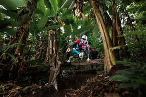 BIB: 
                            <button type="button" onclick="openModal(22394875)" class="btn btn-primary btn-sm float-right btn-popup" data-toggle="modal" data-target=".modal-high-quality">
                        <i class="fas fa-shopping-cart"></i> Add to Cart
                    </button>
                                            <button type="button" onclick="isThisMe(22394875, true)" class="btn btn-success btn-sm float-right btn-popup btn-isme hidden" data-toggle="tooltip" data-placement="bottom" title="นี่คือรูปของคุณใช่ไหม คลิกที่นี่เพื่อเอาเข้าอัลบั้ม">
                        <i class="fas fa-plus"></i> Add to album
                    </button>
                    <button type="button" onclick="isThisMe(22394875, false)" class="btn btn-warning btn-sm float-right btn-popup btn-isnotme hidden">
                        <i class="fas fa-ban"></i> Remove from album
                    </button>