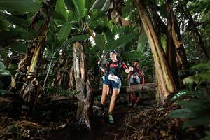 BIB: 
                            <button type="button" onclick="openModal(22422156)" class="btn btn-primary btn-sm float-right btn-popup" data-toggle="modal" data-target=".modal-high-quality">
                        <i class="fas fa-shopping-cart"></i> Add to Cart
                    </button>
                                            <button type="button" onclick="isThisMe(22422156, true)" class="btn btn-success btn-sm float-right btn-popup btn-isme hidden" data-toggle="tooltip" data-placement="bottom" title="นี่คือรูปของคุณใช่ไหม คลิกที่นี่เพื่อเอาเข้าอัลบั้ม">
                        <i class="fas fa-plus"></i> Add to album
                    </button>
                    <button type="button" onclick="isThisMe(22422156, false)" class="btn btn-warning btn-sm float-right btn-popup btn-isnotme hidden">
                        <i class="fas fa-ban"></i> Remove from album
                    </button>