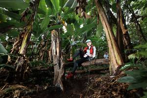 BIB: 
                            <button type="button" onclick="openModal(22421314)" class="btn btn-primary btn-sm float-right btn-popup" data-toggle="modal" data-target=".modal-high-quality">
                        <i class="fas fa-shopping-cart"></i> Add to Cart
                    </button>
                                            <button type="button" onclick="isThisMe(22421314, true)" class="btn btn-success btn-sm float-right btn-popup btn-isme hidden" data-toggle="tooltip" data-placement="bottom" title="นี่คือรูปของคุณใช่ไหม คลิกที่นี่เพื่อเอาเข้าอัลบั้ม">
                        <i class="fas fa-plus"></i> Add to album
                    </button>
                    <button type="button" onclick="isThisMe(22421314, false)" class="btn btn-warning btn-sm float-right btn-popup btn-isnotme hidden">
                        <i class="fas fa-ban"></i> Remove from album
                    </button>