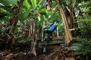 BIB: 
                            <button type="button" onclick="openModal(22395161)" class="btn btn-primary btn-sm float-right btn-popup" data-toggle="modal" data-target=".modal-high-quality">
                        <i class="fas fa-shopping-cart"></i> Add to Cart
                    </button>
                                            <button type="button" onclick="isThisMe(22395161, true)" class="btn btn-success btn-sm float-right btn-popup btn-isme hidden" data-toggle="tooltip" data-placement="bottom" title="นี่คือรูปของคุณใช่ไหม คลิกที่นี่เพื่อเอาเข้าอัลบั้ม">
                        <i class="fas fa-plus"></i> Add to album
                    </button>
                    <button type="button" onclick="isThisMe(22395161, false)" class="btn btn-warning btn-sm float-right btn-popup btn-isnotme hidden">
                        <i class="fas fa-ban"></i> Remove from album
                    </button>