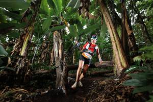 BIB: 343123
                            <button type="button" onclick="openModal(22421910)" class="btn btn-primary btn-sm float-right btn-popup" data-toggle="modal" data-target=".modal-high-quality">
                        <i class="fas fa-shopping-cart"></i> Add to Cart
                    </button>
                                            <button type="button" onclick="isThisMe(22421910, true)" class="btn btn-success btn-sm float-right btn-popup btn-isme hidden" data-toggle="tooltip" data-placement="bottom" title="นี่คือรูปของคุณใช่ไหม คลิกที่นี่เพื่อเอาเข้าอัลบั้ม">
                        <i class="fas fa-plus"></i> Add to album
                    </button>
                    <button type="button" onclick="isThisMe(22421910, false)" class="btn btn-warning btn-sm float-right btn-popup btn-isnotme hidden">
                        <i class="fas fa-ban"></i> Remove from album
                    </button>