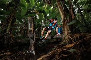 BIB: 
                            <button type="button" onclick="openModal(22387778)" class="btn btn-primary btn-sm float-right btn-popup" data-toggle="modal" data-target=".modal-high-quality">
                        <i class="fas fa-shopping-cart"></i> Add to Cart
                    </button>
                                            <button type="button" onclick="isThisMe(22387778, true)" class="btn btn-success btn-sm float-right btn-popup btn-isme hidden" data-toggle="tooltip" data-placement="bottom" title="นี่คือรูปของคุณใช่ไหม คลิกที่นี่เพื่อเอาเข้าอัลบั้ม">
                        <i class="fas fa-plus"></i> Add to album
                    </button>
                    <button type="button" onclick="isThisMe(22387778, false)" class="btn btn-warning btn-sm float-right btn-popup btn-isnotme hidden">
                        <i class="fas fa-ban"></i> Remove from album
                    </button>