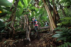 BIB: 
                            <button type="button" onclick="openModal(22415679)" class="btn btn-primary btn-sm float-right btn-popup" data-toggle="modal" data-target=".modal-high-quality">
                        <i class="fas fa-shopping-cart"></i> Add to Cart
                    </button>
                                            <button type="button" onclick="isThisMe(22415679, true)" class="btn btn-success btn-sm float-right btn-popup btn-isme hidden" data-toggle="tooltip" data-placement="bottom" title="นี่คือรูปของคุณใช่ไหม คลิกที่นี่เพื่อเอาเข้าอัลบั้ม">
                        <i class="fas fa-plus"></i> Add to album
                    </button>
                    <button type="button" onclick="isThisMe(22415679, false)" class="btn btn-warning btn-sm float-right btn-popup btn-isnotme hidden">
                        <i class="fas fa-ban"></i> Remove from album
                    </button>