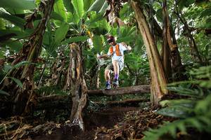 BIB: 
                            <button type="button" onclick="openModal(22393580)" class="btn btn-primary btn-sm float-right btn-popup" data-toggle="modal" data-target=".modal-high-quality">
                        <i class="fas fa-shopping-cart"></i> Add to Cart
                    </button>
                                            <button type="button" onclick="isThisMe(22393580, true)" class="btn btn-success btn-sm float-right btn-popup btn-isme hidden" data-toggle="tooltip" data-placement="bottom" title="นี่คือรูปของคุณใช่ไหม คลิกที่นี่เพื่อเอาเข้าอัลบั้ม">
                        <i class="fas fa-plus"></i> Add to album
                    </button>
                    <button type="button" onclick="isThisMe(22393580, false)" class="btn btn-warning btn-sm float-right btn-popup btn-isnotme hidden">
                        <i class="fas fa-ban"></i> Remove from album
                    </button>