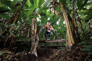 BIB: 
                            <button type="button" onclick="openModal(22417576)" class="btn btn-primary btn-sm float-right btn-popup" data-toggle="modal" data-target=".modal-high-quality">
                        <i class="fas fa-shopping-cart"></i> Add to Cart
                    </button>
                                            <button type="button" onclick="isThisMe(22417576, true)" class="btn btn-success btn-sm float-right btn-popup btn-isme hidden" data-toggle="tooltip" data-placement="bottom" title="นี่คือรูปของคุณใช่ไหม คลิกที่นี่เพื่อเอาเข้าอัลบั้ม">
                        <i class="fas fa-plus"></i> Add to album
                    </button>
                    <button type="button" onclick="isThisMe(22417576, false)" class="btn btn-warning btn-sm float-right btn-popup btn-isnotme hidden">
                        <i class="fas fa-ban"></i> Remove from album
                    </button>