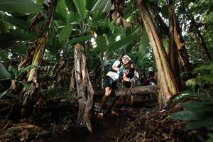 BIB: 
                            <button type="button" onclick="openModal(22419583)" class="btn btn-primary btn-sm float-right btn-popup" data-toggle="modal" data-target=".modal-high-quality">
                        <i class="fas fa-shopping-cart"></i> Add to Cart
                    </button>
                                            <button type="button" onclick="isThisMe(22419583, true)" class="btn btn-success btn-sm float-right btn-popup btn-isme hidden" data-toggle="tooltip" data-placement="bottom" title="นี่คือรูปของคุณใช่ไหม คลิกที่นี่เพื่อเอาเข้าอัลบั้ม">
                        <i class="fas fa-plus"></i> Add to album
                    </button>
                    <button type="button" onclick="isThisMe(22419583, false)" class="btn btn-warning btn-sm float-right btn-popup btn-isnotme hidden">
                        <i class="fas fa-ban"></i> Remove from album
                    </button>