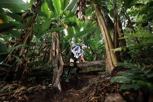 BIB: 
                            <button type="button" onclick="openModal(22398897)" class="btn btn-primary btn-sm float-right btn-popup" data-toggle="modal" data-target=".modal-high-quality">
                        <i class="fas fa-shopping-cart"></i> Add to Cart
                    </button>
                                            <button type="button" onclick="isThisMe(22398897, true)" class="btn btn-success btn-sm float-right btn-popup btn-isme hidden" data-toggle="tooltip" data-placement="bottom" title="นี่คือรูปของคุณใช่ไหม คลิกที่นี่เพื่อเอาเข้าอัลบั้ม">
                        <i class="fas fa-plus"></i> Add to album
                    </button>
                    <button type="button" onclick="isThisMe(22398897, false)" class="btn btn-warning btn-sm float-right btn-popup btn-isnotme hidden">
                        <i class="fas fa-ban"></i> Remove from album
                    </button>