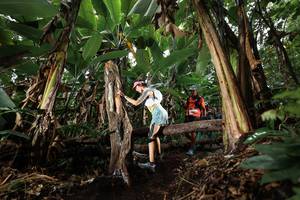 BIB: 
                            <button type="button" onclick="openModal(22421733)" class="btn btn-primary btn-sm float-right btn-popup" data-toggle="modal" data-target=".modal-high-quality">
                        <i class="fas fa-shopping-cart"></i> Add to Cart
                    </button>
                                            <button type="button" onclick="isThisMe(22421733, true)" class="btn btn-success btn-sm float-right btn-popup btn-isme hidden" data-toggle="tooltip" data-placement="bottom" title="นี่คือรูปของคุณใช่ไหม คลิกที่นี่เพื่อเอาเข้าอัลบั้ม">
                        <i class="fas fa-plus"></i> Add to album
                    </button>
                    <button type="button" onclick="isThisMe(22421733, false)" class="btn btn-warning btn-sm float-right btn-popup btn-isnotme hidden">
                        <i class="fas fa-ban"></i> Remove from album
                    </button>