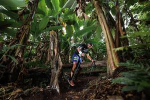 BIB: 
                            <button type="button" onclick="openModal(22398024)" class="btn btn-primary btn-sm float-right btn-popup" data-toggle="modal" data-target=".modal-high-quality">
                        <i class="fas fa-shopping-cart"></i> Add to Cart
                    </button>
                                            <button type="button" onclick="isThisMe(22398024, true)" class="btn btn-success btn-sm float-right btn-popup btn-isme hidden" data-toggle="tooltip" data-placement="bottom" title="นี่คือรูปของคุณใช่ไหม คลิกที่นี่เพื่อเอาเข้าอัลบั้ม">
                        <i class="fas fa-plus"></i> Add to album
                    </button>
                    <button type="button" onclick="isThisMe(22398024, false)" class="btn btn-warning btn-sm float-right btn-popup btn-isnotme hidden">
                        <i class="fas fa-ban"></i> Remove from album
                    </button>