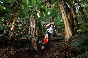 BIB: 
                            <button type="button" onclick="openModal(22418518)" class="btn btn-primary btn-sm float-right btn-popup" data-toggle="modal" data-target=".modal-high-quality">
                        <i class="fas fa-shopping-cart"></i> Add to Cart
                    </button>
                                            <button type="button" onclick="isThisMe(22418518, true)" class="btn btn-success btn-sm float-right btn-popup btn-isme hidden" data-toggle="tooltip" data-placement="bottom" title="นี่คือรูปของคุณใช่ไหม คลิกที่นี่เพื่อเอาเข้าอัลบั้ม">
                        <i class="fas fa-plus"></i> Add to album
                    </button>
                    <button type="button" onclick="isThisMe(22418518, false)" class="btn btn-warning btn-sm float-right btn-popup btn-isnotme hidden">
                        <i class="fas fa-ban"></i> Remove from album
                    </button>