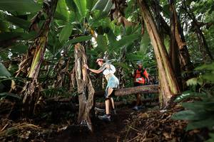 BIB: 
                            <button type="button" onclick="openModal(22421730)" class="btn btn-primary btn-sm float-right btn-popup" data-toggle="modal" data-target=".modal-high-quality">
                        <i class="fas fa-shopping-cart"></i> Add to Cart
                    </button>
                                            <button type="button" onclick="isThisMe(22421730, true)" class="btn btn-success btn-sm float-right btn-popup btn-isme hidden" data-toggle="tooltip" data-placement="bottom" title="นี่คือรูปของคุณใช่ไหม คลิกที่นี่เพื่อเอาเข้าอัลบั้ม">
                        <i class="fas fa-plus"></i> Add to album
                    </button>
                    <button type="button" onclick="isThisMe(22421730, false)" class="btn btn-warning btn-sm float-right btn-popup btn-isnotme hidden">
                        <i class="fas fa-ban"></i> Remove from album
                    </button>