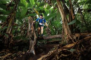 BIB: 
                            <button type="button" onclick="openModal(22392311)" class="btn btn-primary btn-sm float-right btn-popup" data-toggle="modal" data-target=".modal-high-quality">
                        <i class="fas fa-shopping-cart"></i> Add to Cart
                    </button>
                                            <button type="button" onclick="isThisMe(22392311, true)" class="btn btn-success btn-sm float-right btn-popup btn-isme hidden" data-toggle="tooltip" data-placement="bottom" title="นี่คือรูปของคุณใช่ไหม คลิกที่นี่เพื่อเอาเข้าอัลบั้ม">
                        <i class="fas fa-plus"></i> Add to album
                    </button>
                    <button type="button" onclick="isThisMe(22392311, false)" class="btn btn-warning btn-sm float-right btn-popup btn-isnotme hidden">
                        <i class="fas fa-ban"></i> Remove from album
                    </button>