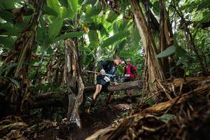 BIB: 
                            <button type="button" onclick="openModal(22388575)" class="btn btn-primary btn-sm float-right btn-popup" data-toggle="modal" data-target=".modal-high-quality">
                        <i class="fas fa-shopping-cart"></i> Add to Cart
                    </button>
                                            <button type="button" onclick="isThisMe(22388575, true)" class="btn btn-success btn-sm float-right btn-popup btn-isme hidden" data-toggle="tooltip" data-placement="bottom" title="นี่คือรูปของคุณใช่ไหม คลิกที่นี่เพื่อเอาเข้าอัลบั้ม">
                        <i class="fas fa-plus"></i> Add to album
                    </button>
                    <button type="button" onclick="isThisMe(22388575, false)" class="btn btn-warning btn-sm float-right btn-popup btn-isnotme hidden">
                        <i class="fas fa-ban"></i> Remove from album
                    </button>