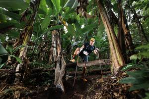 BIB: 
                            <button type="button" onclick="openModal(22421160)" class="btn btn-primary btn-sm float-right btn-popup" data-toggle="modal" data-target=".modal-high-quality">
                        <i class="fas fa-shopping-cart"></i> Add to Cart
                    </button>
                                            <button type="button" onclick="isThisMe(22421160, true)" class="btn btn-success btn-sm float-right btn-popup btn-isme hidden" data-toggle="tooltip" data-placement="bottom" title="นี่คือรูปของคุณใช่ไหม คลิกที่นี่เพื่อเอาเข้าอัลบั้ม">
                        <i class="fas fa-plus"></i> Add to album
                    </button>
                    <button type="button" onclick="isThisMe(22421160, false)" class="btn btn-warning btn-sm float-right btn-popup btn-isnotme hidden">
                        <i class="fas fa-ban"></i> Remove from album
                    </button>