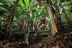 BIB: 
                            <button type="button" onclick="openModal(22392990)" class="btn btn-primary btn-sm float-right btn-popup" data-toggle="modal" data-target=".modal-high-quality">
                        <i class="fas fa-shopping-cart"></i> Add to Cart
                    </button>
                                            <button type="button" onclick="isThisMe(22392990, true)" class="btn btn-success btn-sm float-right btn-popup btn-isme hidden" data-toggle="tooltip" data-placement="bottom" title="นี่คือรูปของคุณใช่ไหม คลิกที่นี่เพื่อเอาเข้าอัลบั้ม">
                        <i class="fas fa-plus"></i> Add to album
                    </button>
                    <button type="button" onclick="isThisMe(22392990, false)" class="btn btn-warning btn-sm float-right btn-popup btn-isnotme hidden">
                        <i class="fas fa-ban"></i> Remove from album
                    </button>